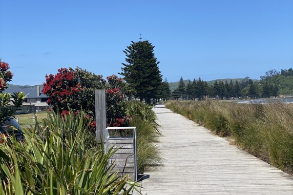 New guidebook features nature walks near the city