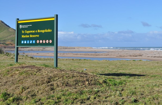 Te Tapuwae o Rongokako Marine Reserve, photo: Survey Gisborne Ltd