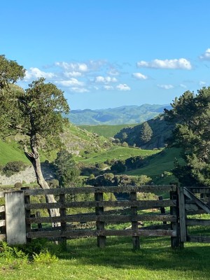 Haurata High Country Walks