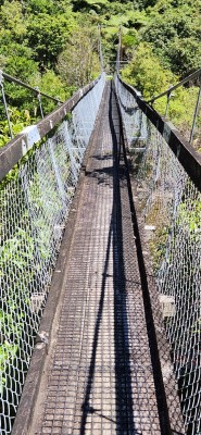 Hupuruahine River suspension bridge, Gillian Ward