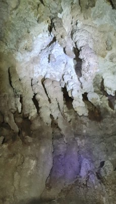 Stalagmites, Gay Young