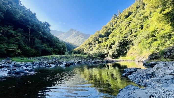 Waioeka River near Nikau Flat Hut, photo Catherine McDonald