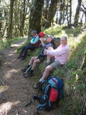 A rest stop on the way up the ridge, Gillian Ward