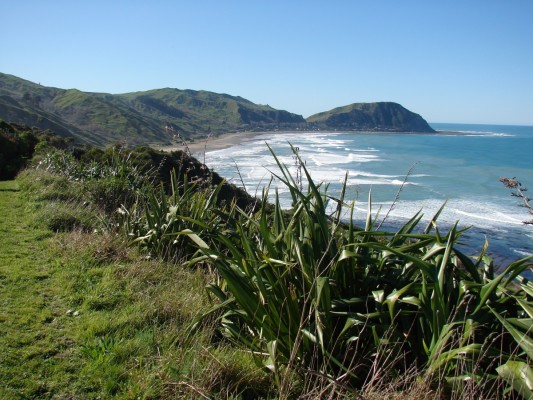 Looking north along Makorori Beach, photo by Gillian Ward