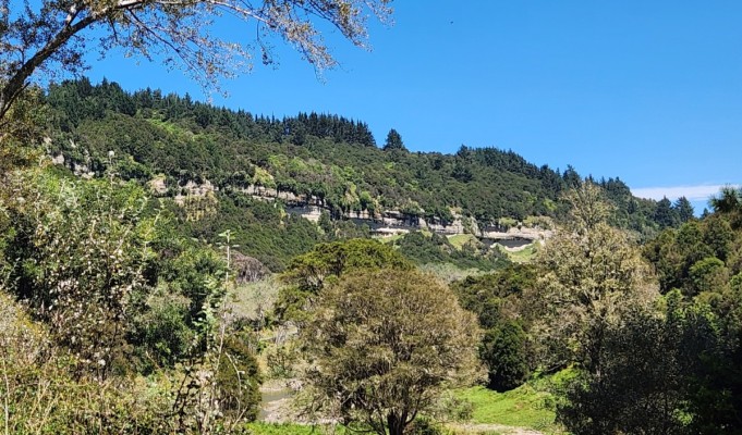Limestone bluffs near Tiniroto