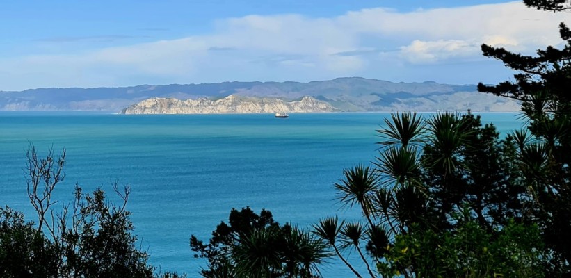 View to Te Kuri a Paoa / Young Nicks Head, Gay Young