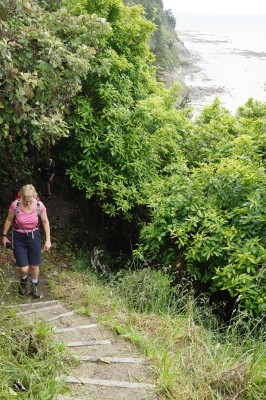 Tatarahake Cliff steps. Photo: Gillian Ward