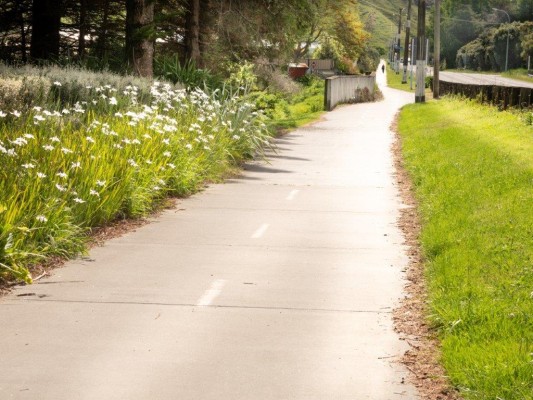 Separated cycle and walkway, parallel to Wainui Road. Photo: Andy Cranston