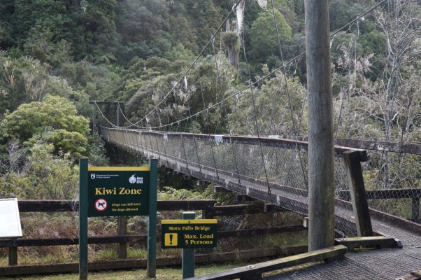 Mōtu Falls swing bridge