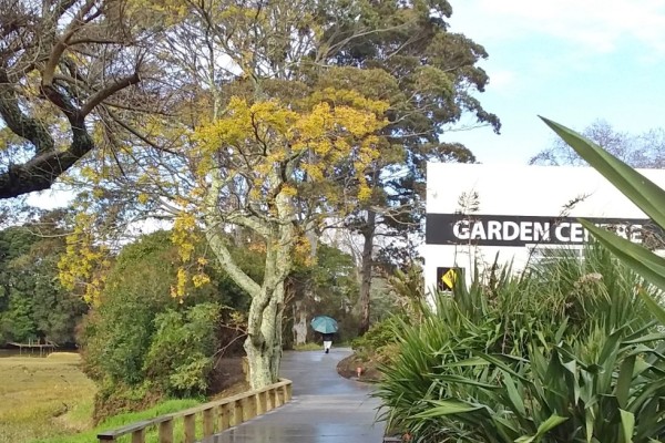 New concrete path lights the way