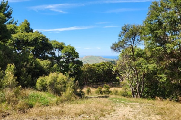 Te Kurī Farm Walkway