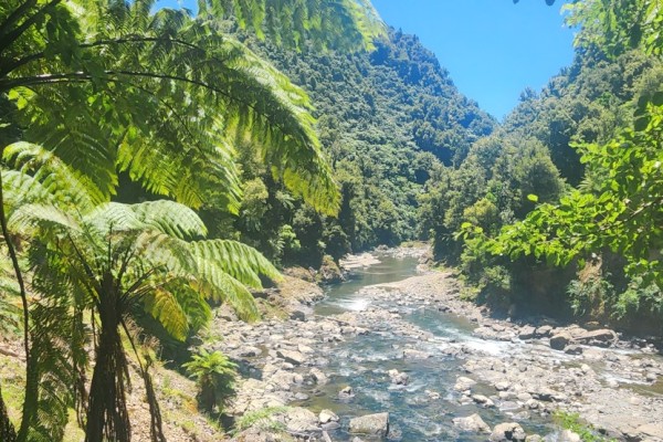 Nikau Flat Hut, Waioeka River