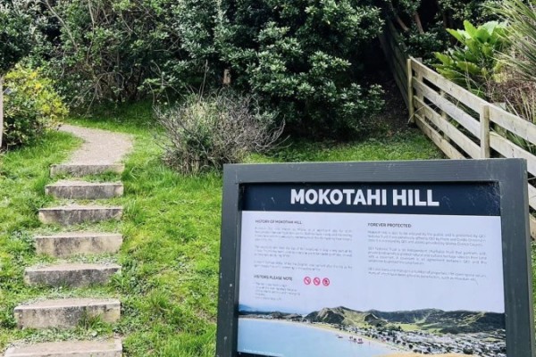 Mokotahi Hill Lookout Track, Māhia