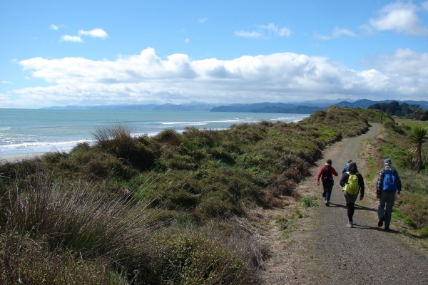 Ōpōtiki Dunes Trail