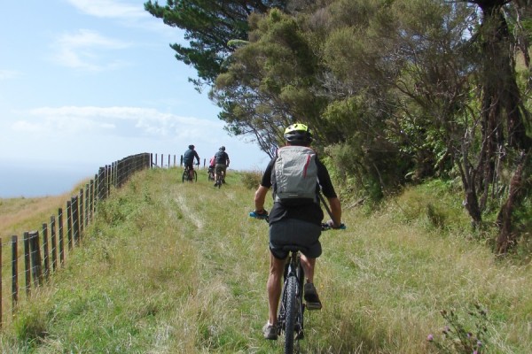 Paritu-Mahanga Road, Wharerata Hills