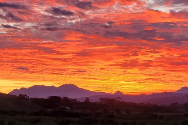 Hikurangi Maunga Track