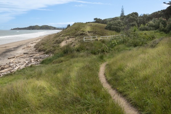 Wainui Beach to Makorori Headland