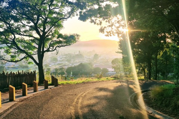 Titirangi Cycle and Walkway (Queen's Drive-Titirangi Drive)