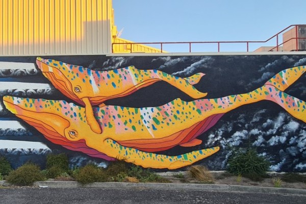 Sea Walls Tairāwhiti Murals Walk